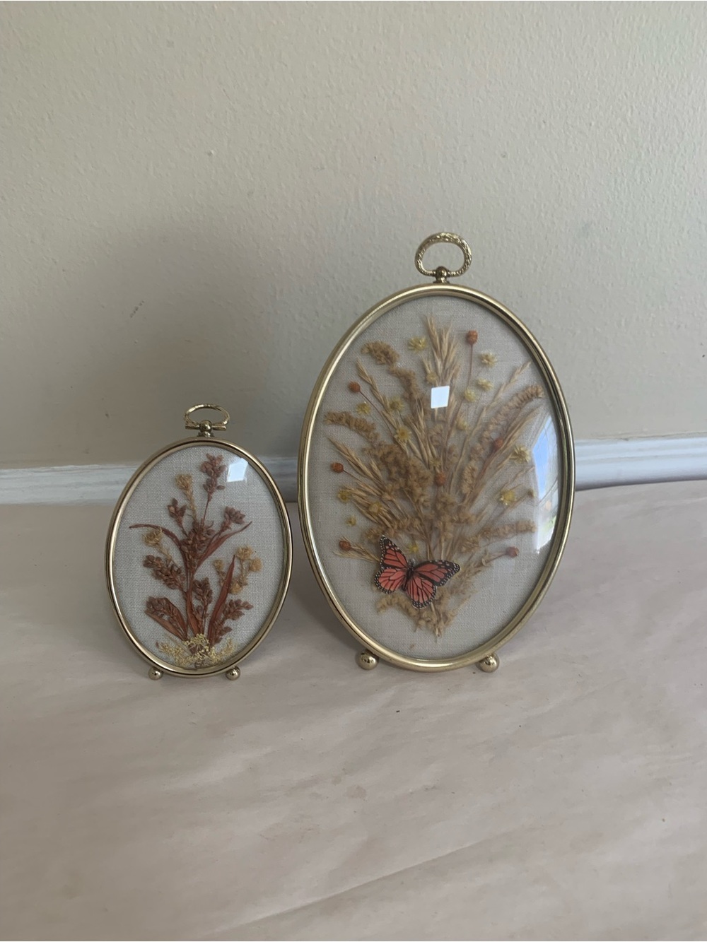 Vintage Brass Oval Botanical Wall Set of 2 Convex Glass Dried Floral Butterfly s